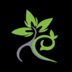 Logo Perusahaan CV Natural Care - Lowongan Therapist