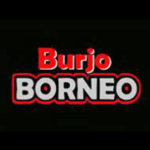 Logo Perusahaan Borneo Group Indonesia - Lowongan Sekertaris – HR Recruitment