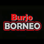 Logo Perusahaan Borneo Group Indonesia - Lowongan Manager Human Capital – Manager Keuangan – Admin Keuangan – Manager / Supervisor Outlet – Head Chef – Cook