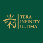 Logo Perusahaan PT. Tera Infinity Ultima