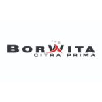 Logo Perusahaan Borwita Citra Prima - Lowongan Sales Coordinator